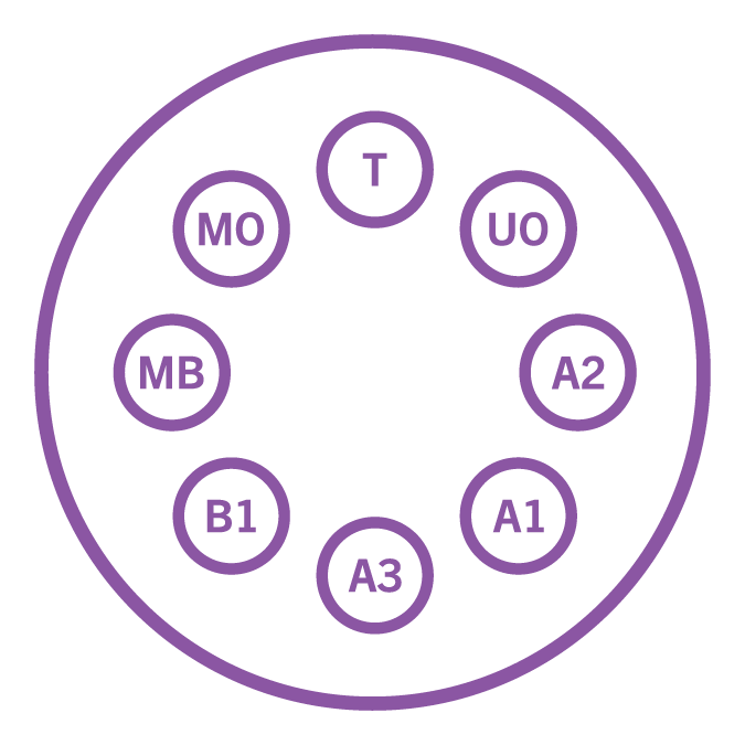 Multiple Shades Icon